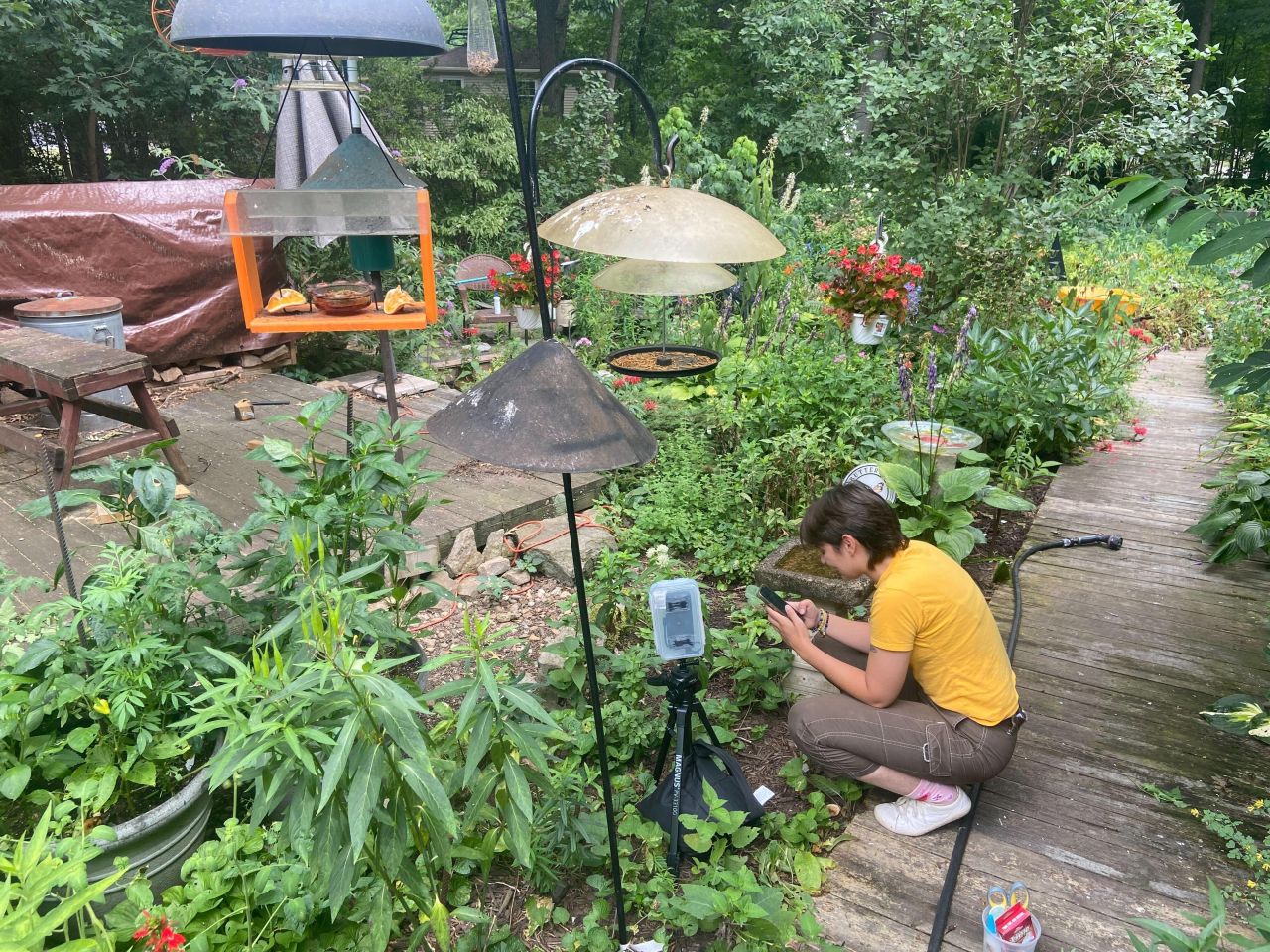 Sophia deploys one of her cameras in the field