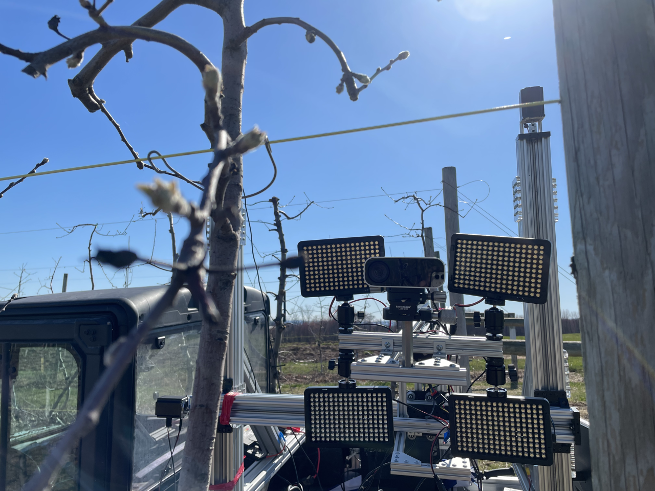 Apple harvesting robot