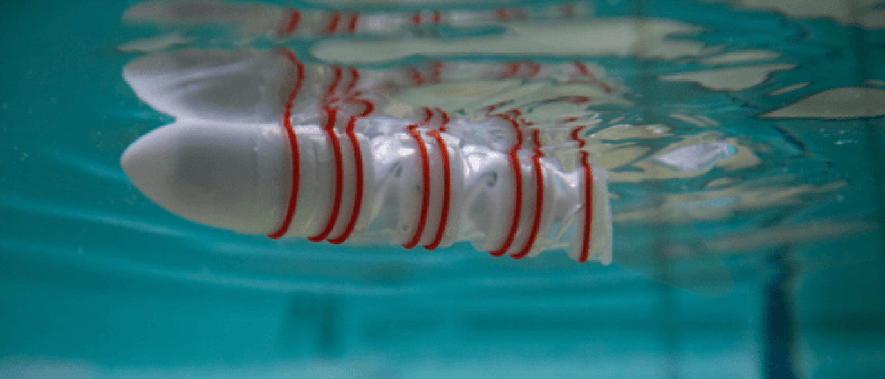 Mubot, swimming under water