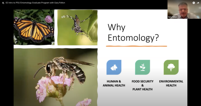 Slide reads "Why Entomology?" with images of insects and icons relating to animals, food, and environment.