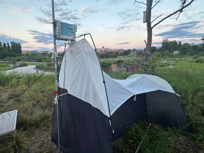 Outdoor photo at dusk with black and white tarp and metal pole structure on grass.